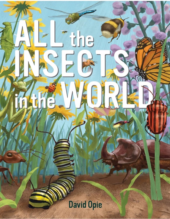 All the Insects in the World