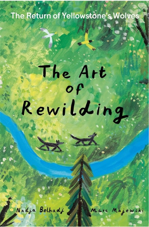 The Art of Rewilding: The Return of Yellowstone's Wolves