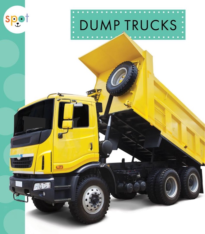 DUMP TRUCKS