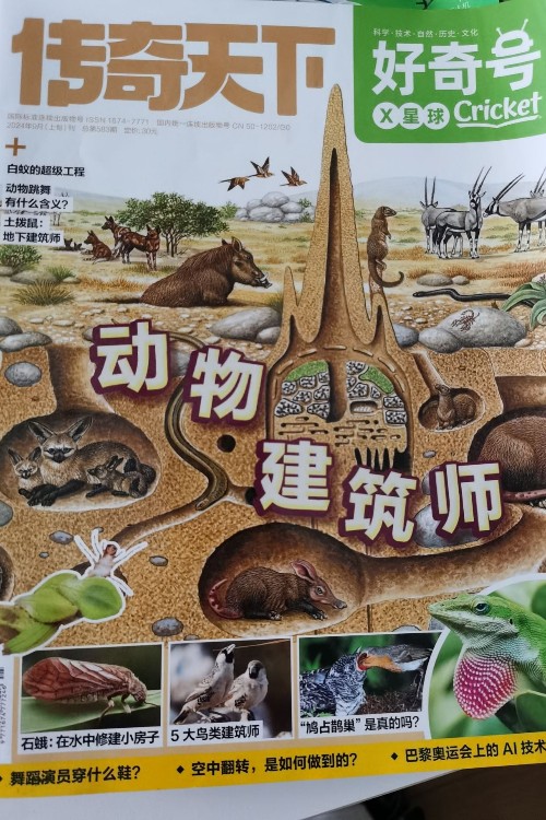 好奇號動物建筑師