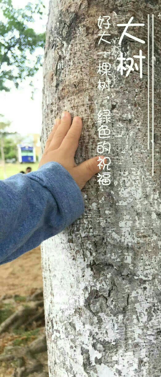 靜女子談運動