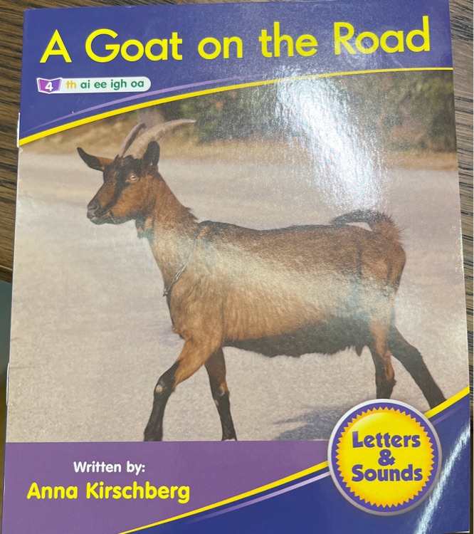 a goat on the road