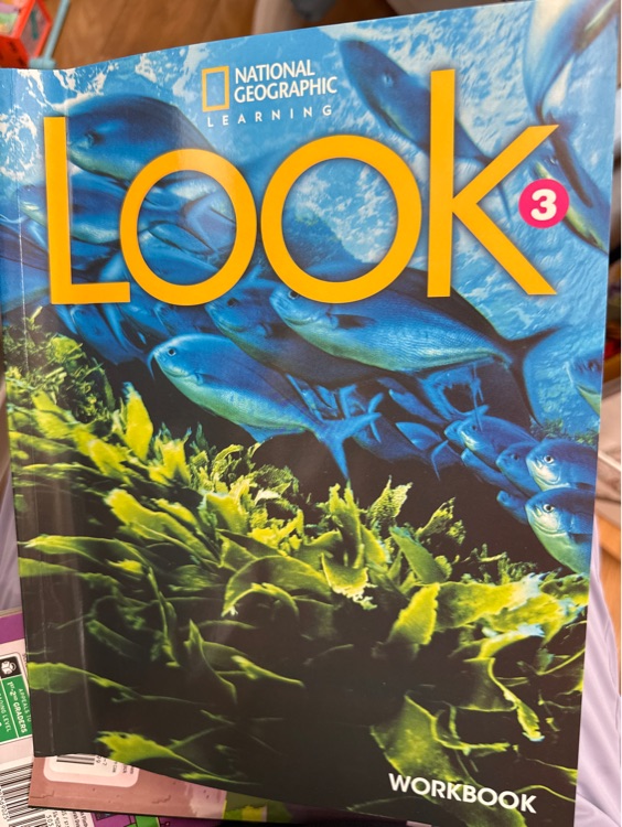 Look 3: Workbook
