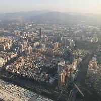 蛋黃酥