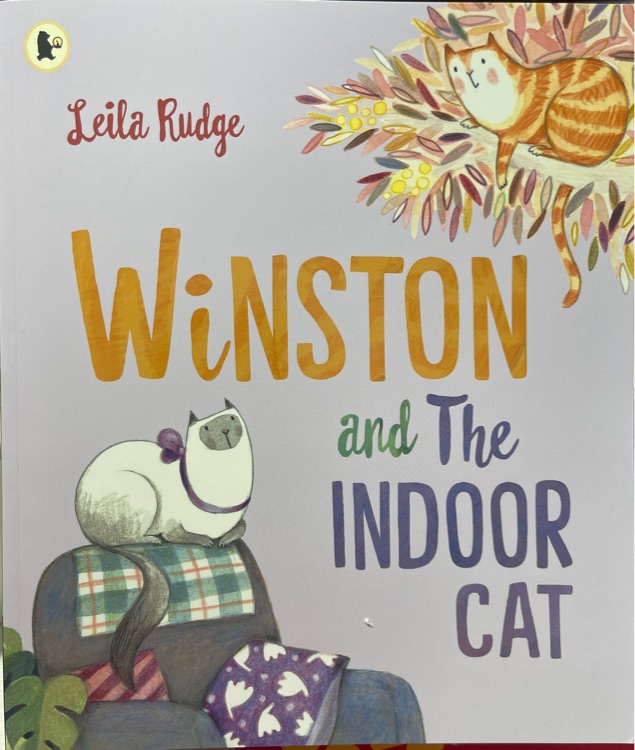 winston and the indoor cat