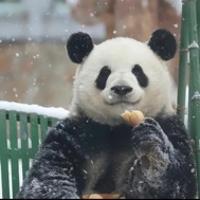 小霖制造