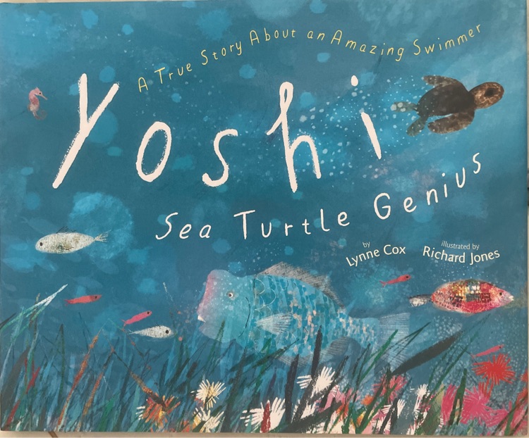 Yoshi, Sea Turtle Genius