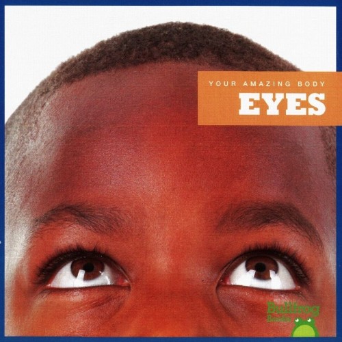 Eyes,Your amazing body Bullfrog books