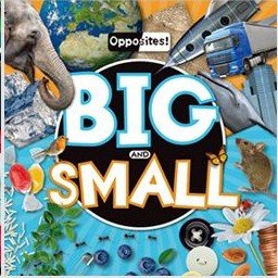 Opposites! Big and Small