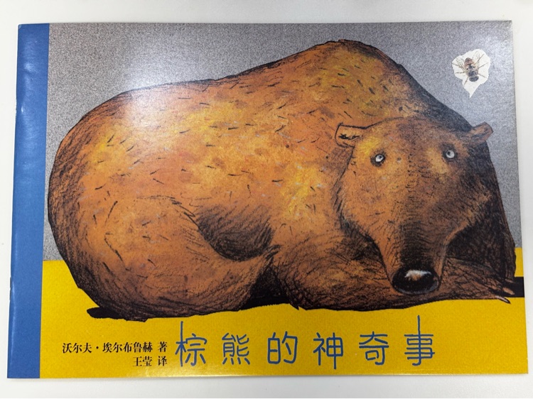 棕熊的神奇事