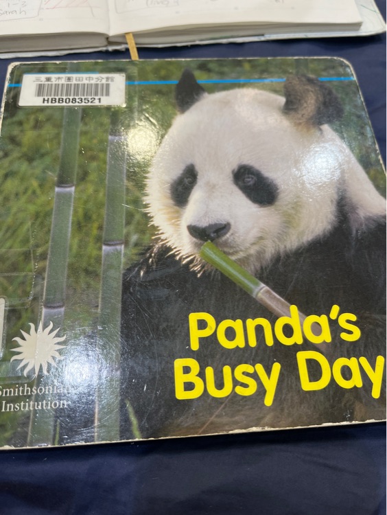 Panda's busy day