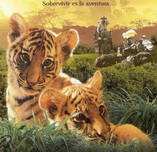 10部经典动物电影,假期补看～ - 小花生