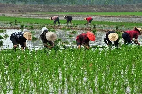 帶著孩子腳踏大地