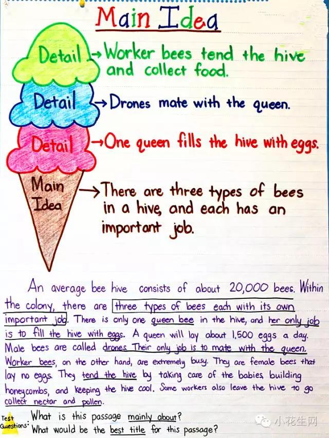 identifying-the-main-idea-and-details-worksheets-99worksheets