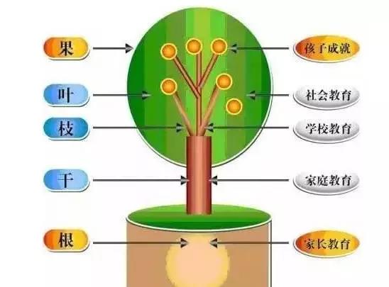 教育改革要從家長