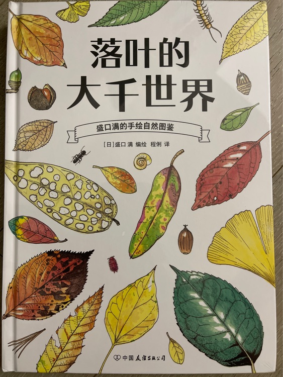 落葉的大千世界