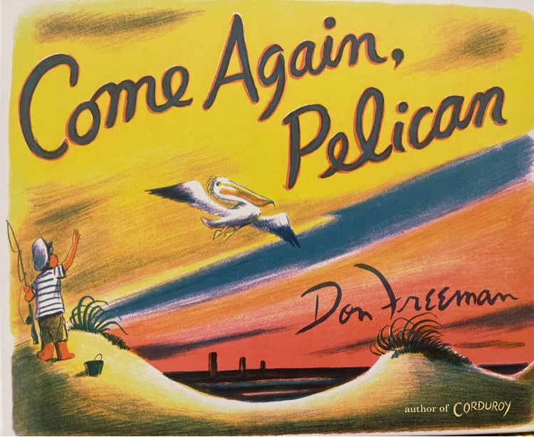 come Again, pelican