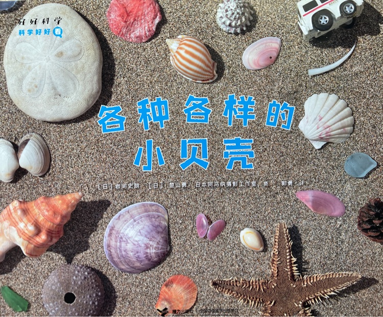 科學(xué)好好看: 各種各樣的小貝殼