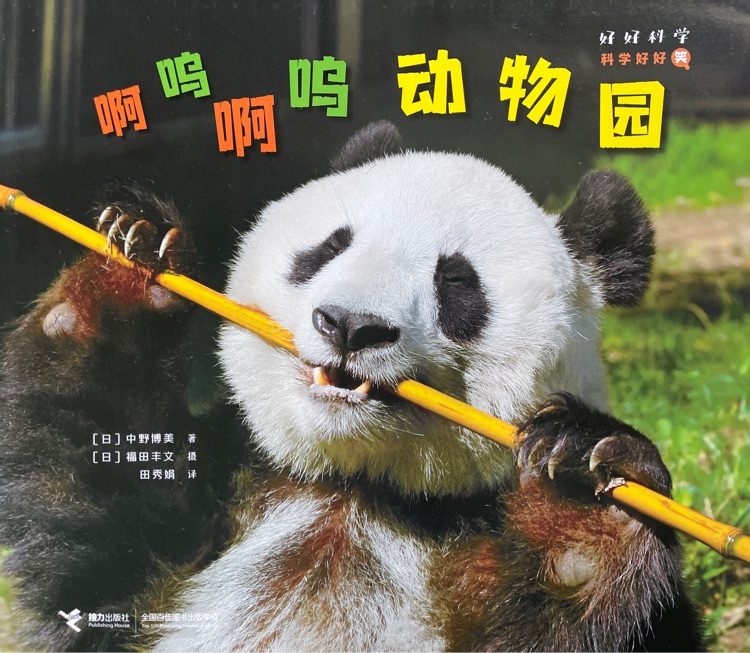 查看系列