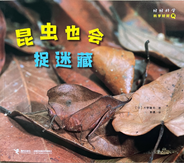 查看系列
