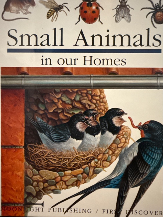Small Aninals in our homes