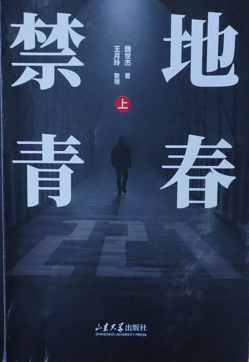 【順豐包郵】2024新版禁地青春 魏世杰 中國(guó)當(dāng)代小說(shuō) 【全...