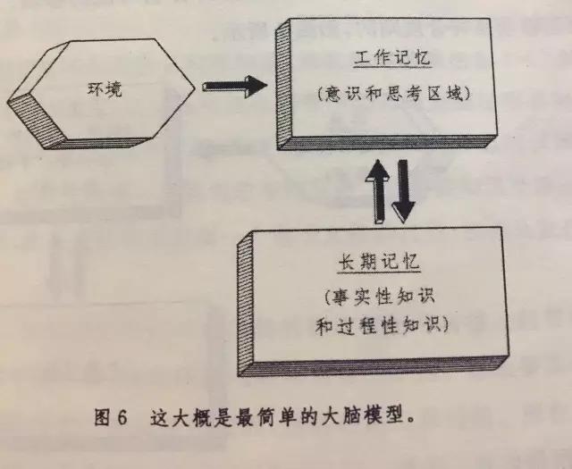 為什么我的大腦理