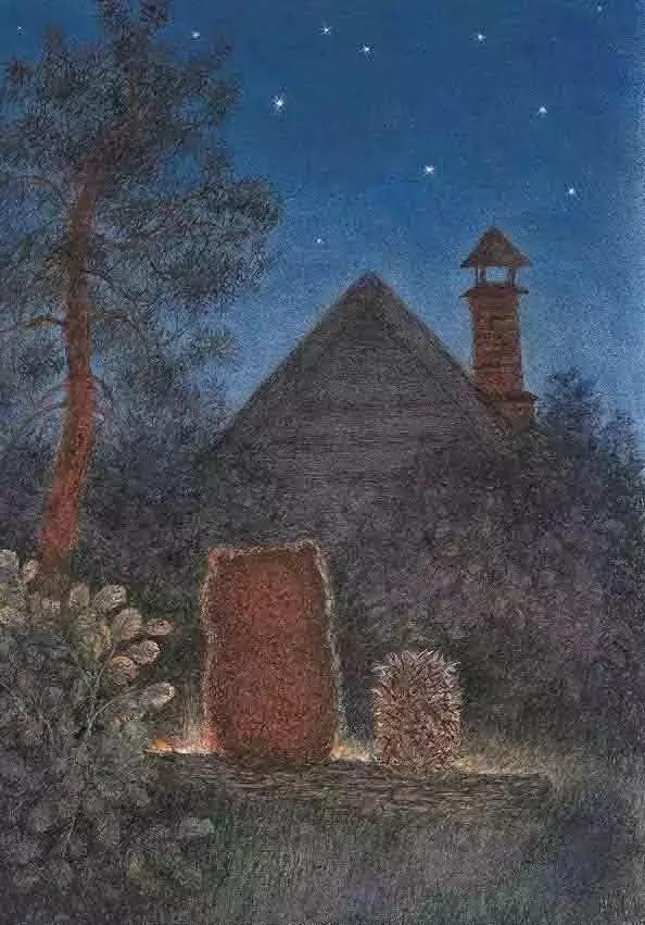 翻开绘本故事,小熊和小刺猬星空下的背影是否静美如一