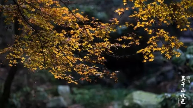 莫干山戶外拓展基