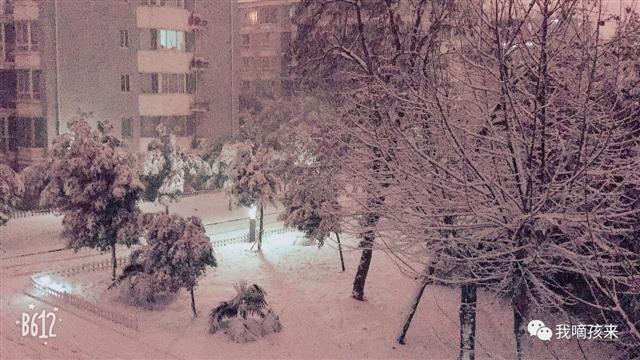 其實啊，只要是雪