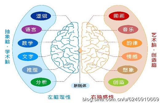 走進思維導(dǎo)圖奇妙