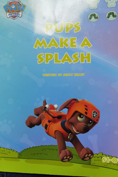 paw patrol pups make a splash