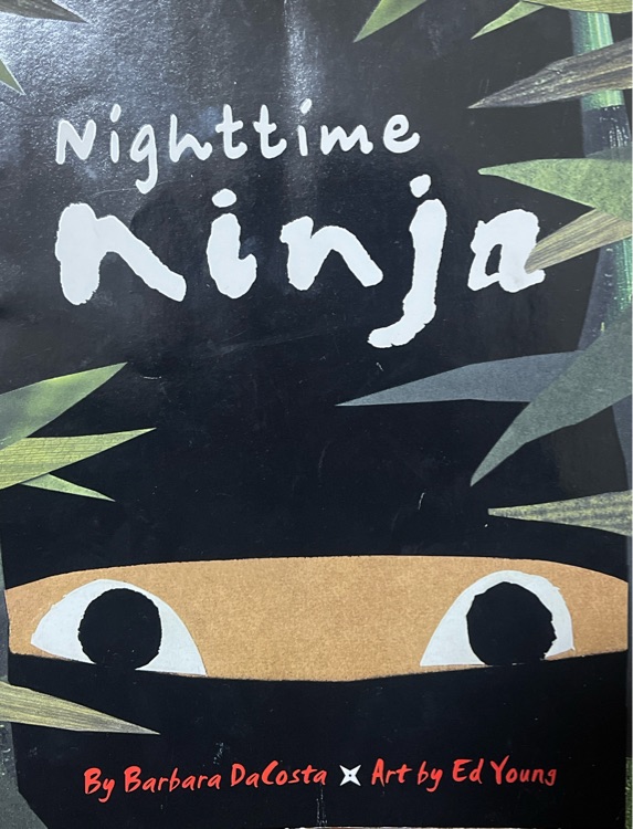 Nighttime Ninja