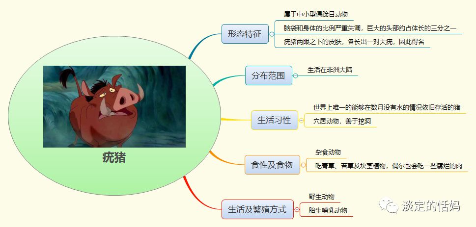 动物远征队思维导图-看《狮子王》,用思维导图学习非洲动物-小花生