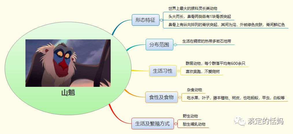 动物远征队思维导图-看《狮子王》,用思维导图学习非洲动物-小花生