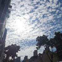 葡萄C