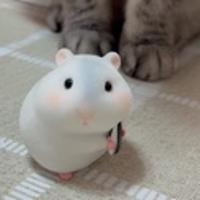 momomomo媽
