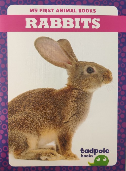 Rabbits