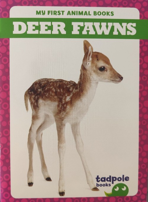 DEAR FAWNS