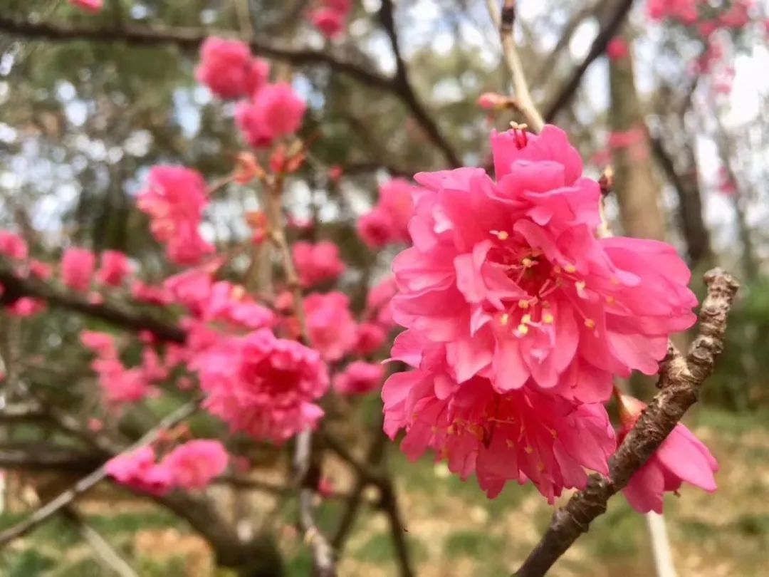 疫情過(guò)后學(xué)什么