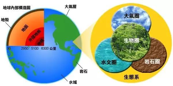 ??生物~生物和