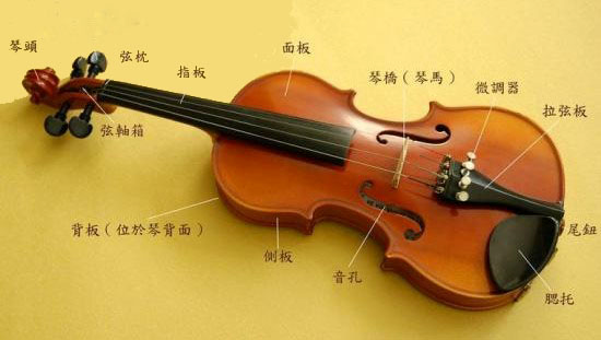 聊聊买琴那些事（