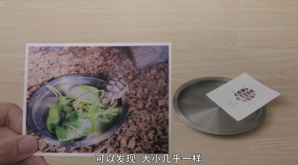 日本人脑洞有多大？看看这些儿童节目，我和孩子都看得无法自拔！（内附视频链接！）