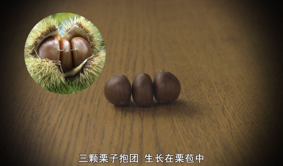 日本人脑洞有多大？看看这些儿童节目，我和孩子都看得无法自拔！（内附视频链接！）