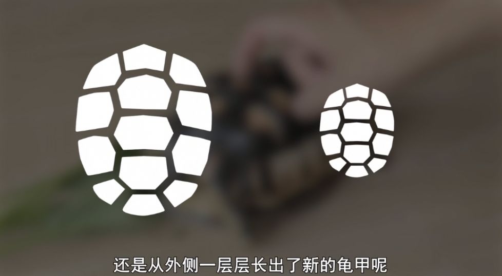 日本人脑洞有多大？看看这些儿童节目，我和孩子都看得无法自拔！（内附视频链接！）