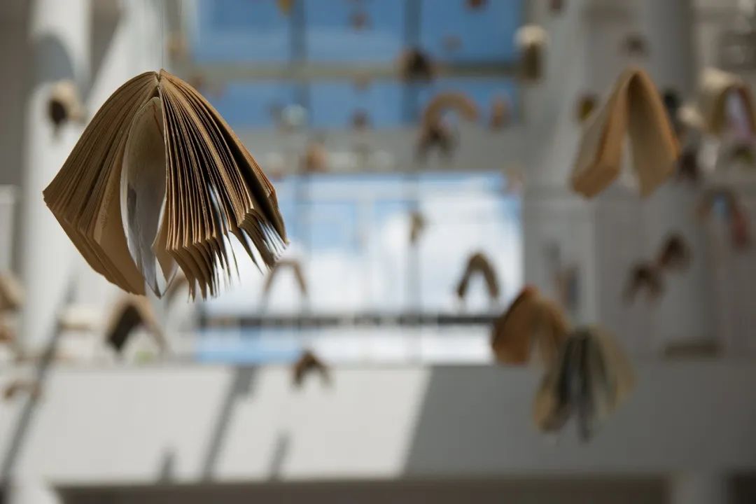 转载：如何科学地