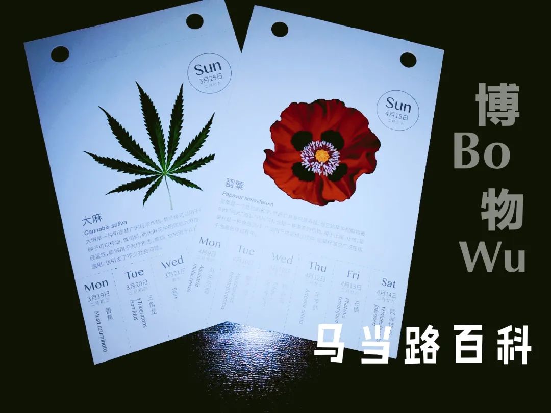 私房教案：鸦片战