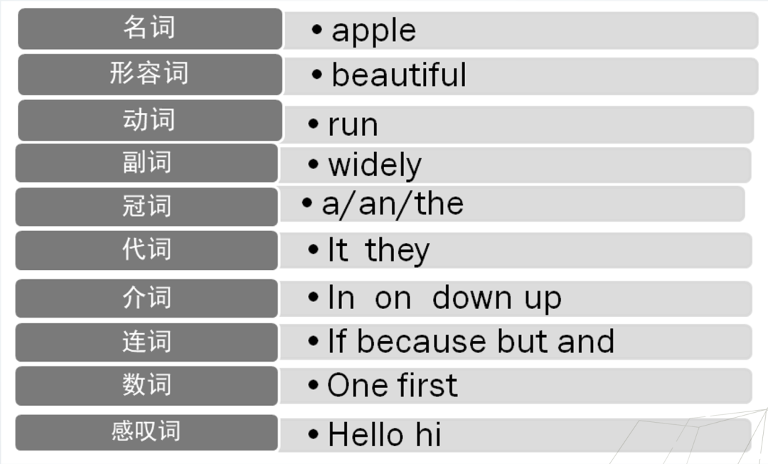 小学生如何学习英