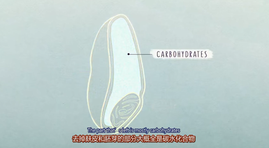 轉載：在教育上，