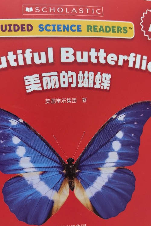 學(xué)樂(lè)小讀者-beautiful butterflies